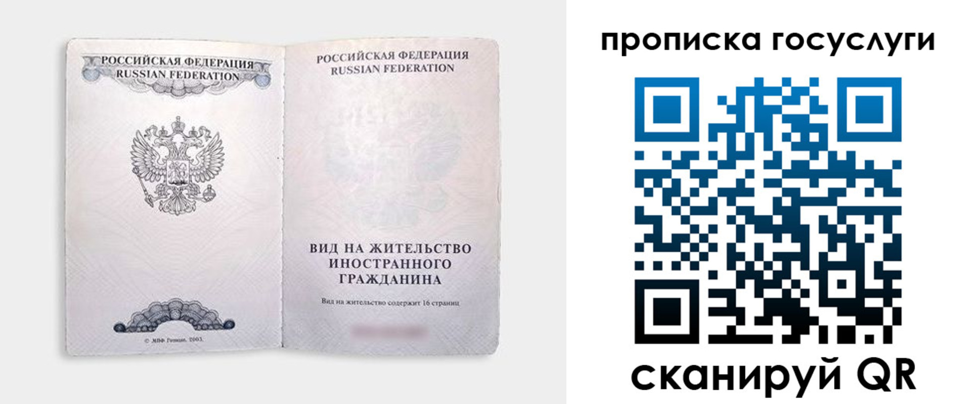 где прописаться в Электрогорске